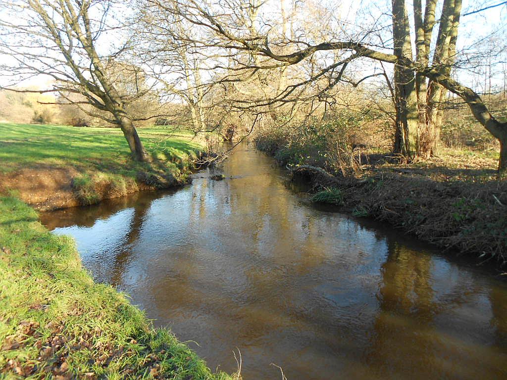 The River Bourne winding through the Surrey countryside near Addlestone, flanked by bare winter trees and green grassy banks